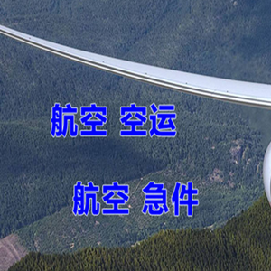 音布鲁克机场托运快递-选东方航空和上海航空