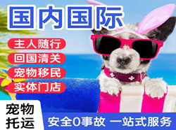 音布鲁克机场托运国际宠物托运 【国