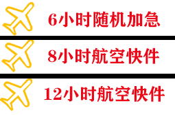 音布鲁克机场托运快递公司,专业空运当天件